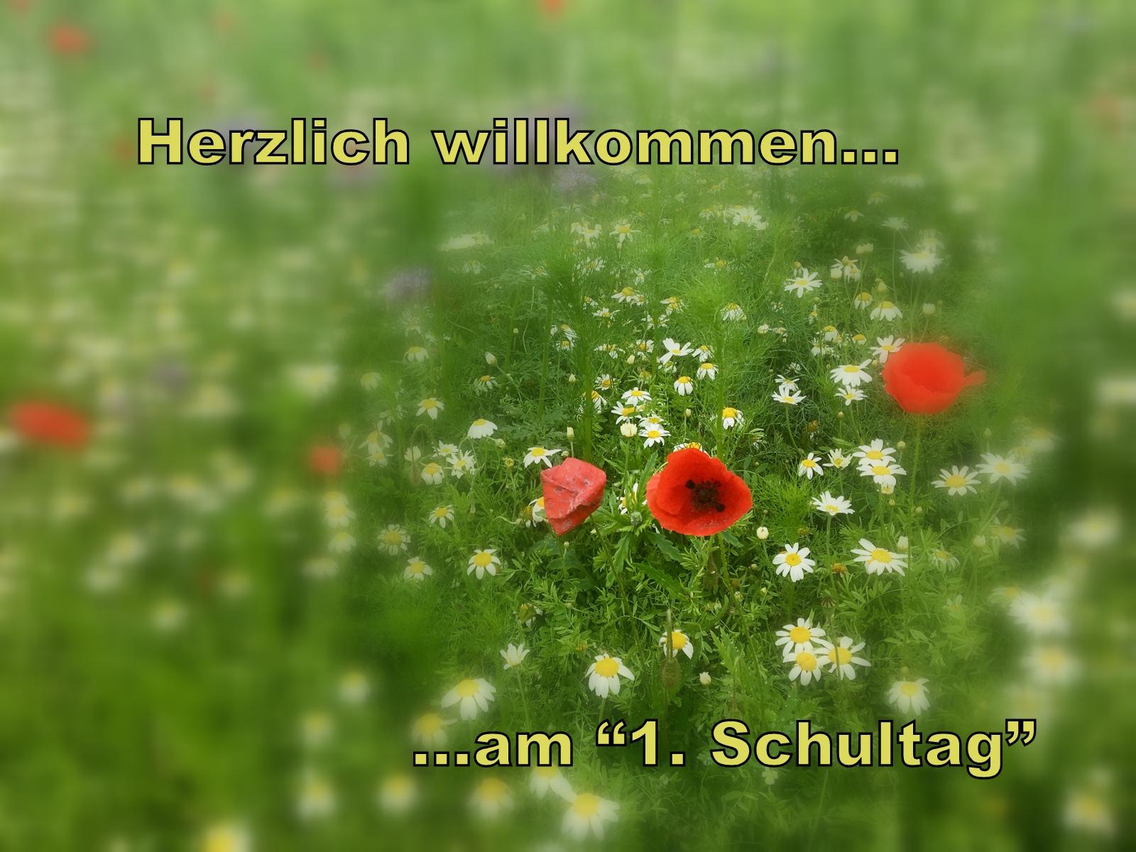 Wieder in der Schule...