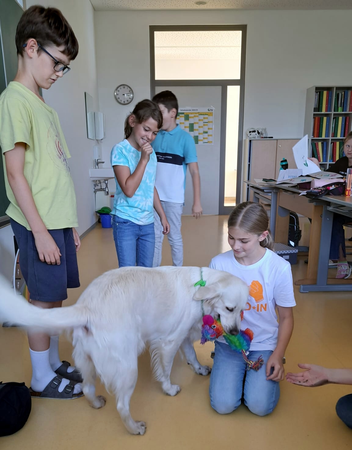 Schulhund Bailey begeistert die Schülerinnen und Schüler