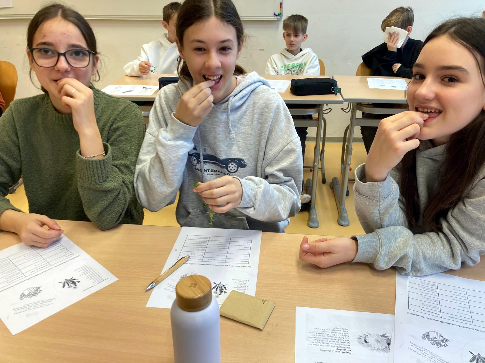 KLIMASCHULEN-WORKSHOP MIT DER „KRAUDAREI“