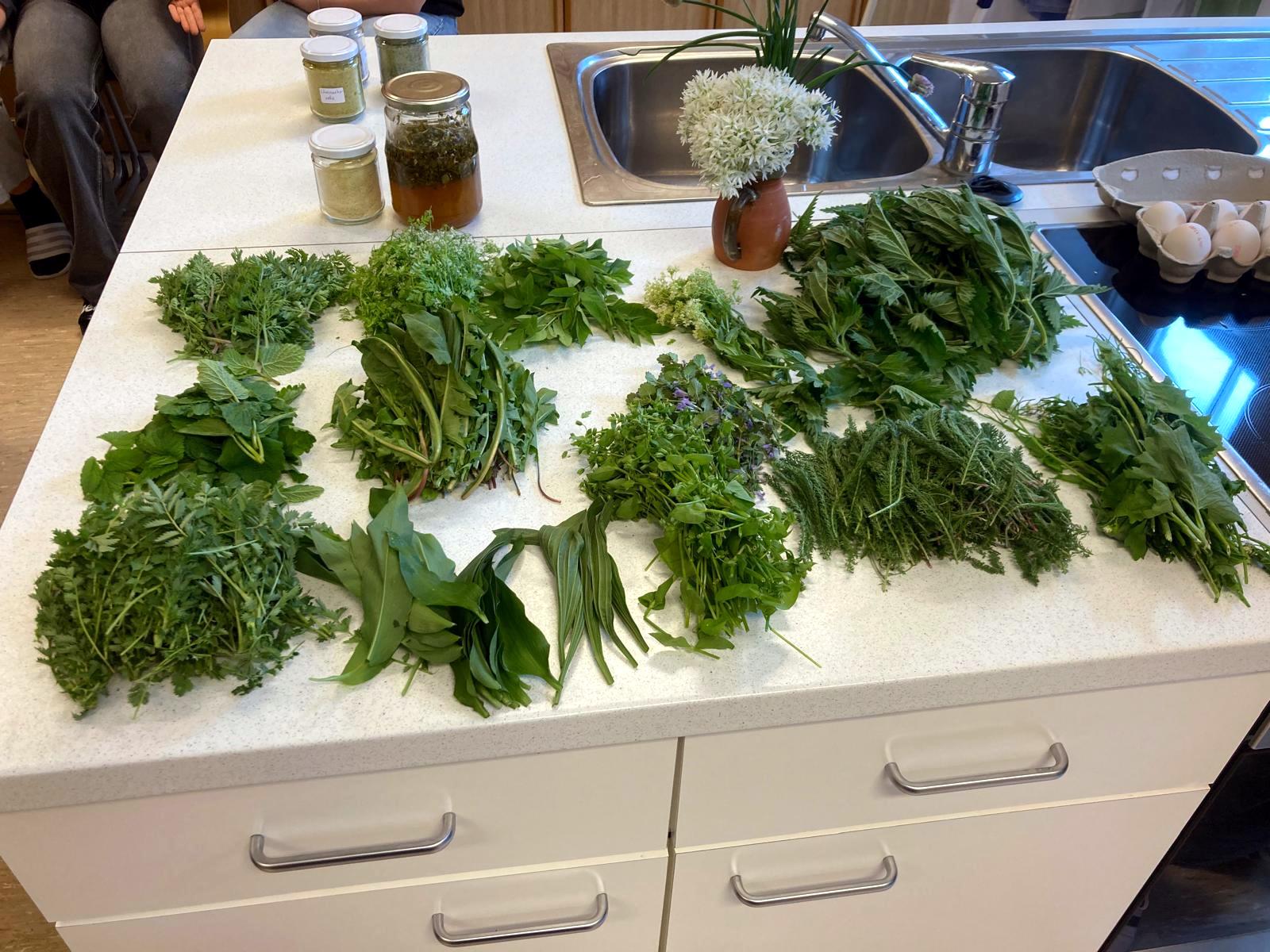 KOCHEN MIT KRÄUTER