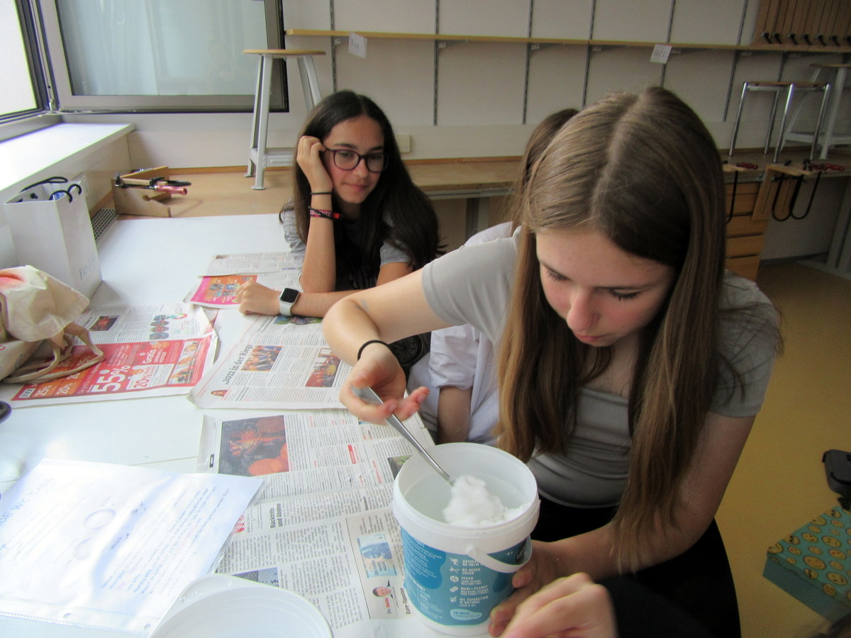 Ökologie – Workshop